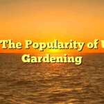 Title: The Popularity of Urban Gardening