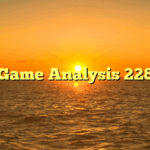 Game Analysis 228