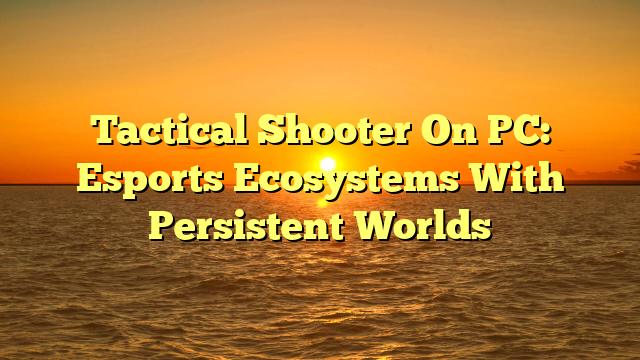 Tactical Shooter On PC: Esports Ecosystems With Persistent Worlds